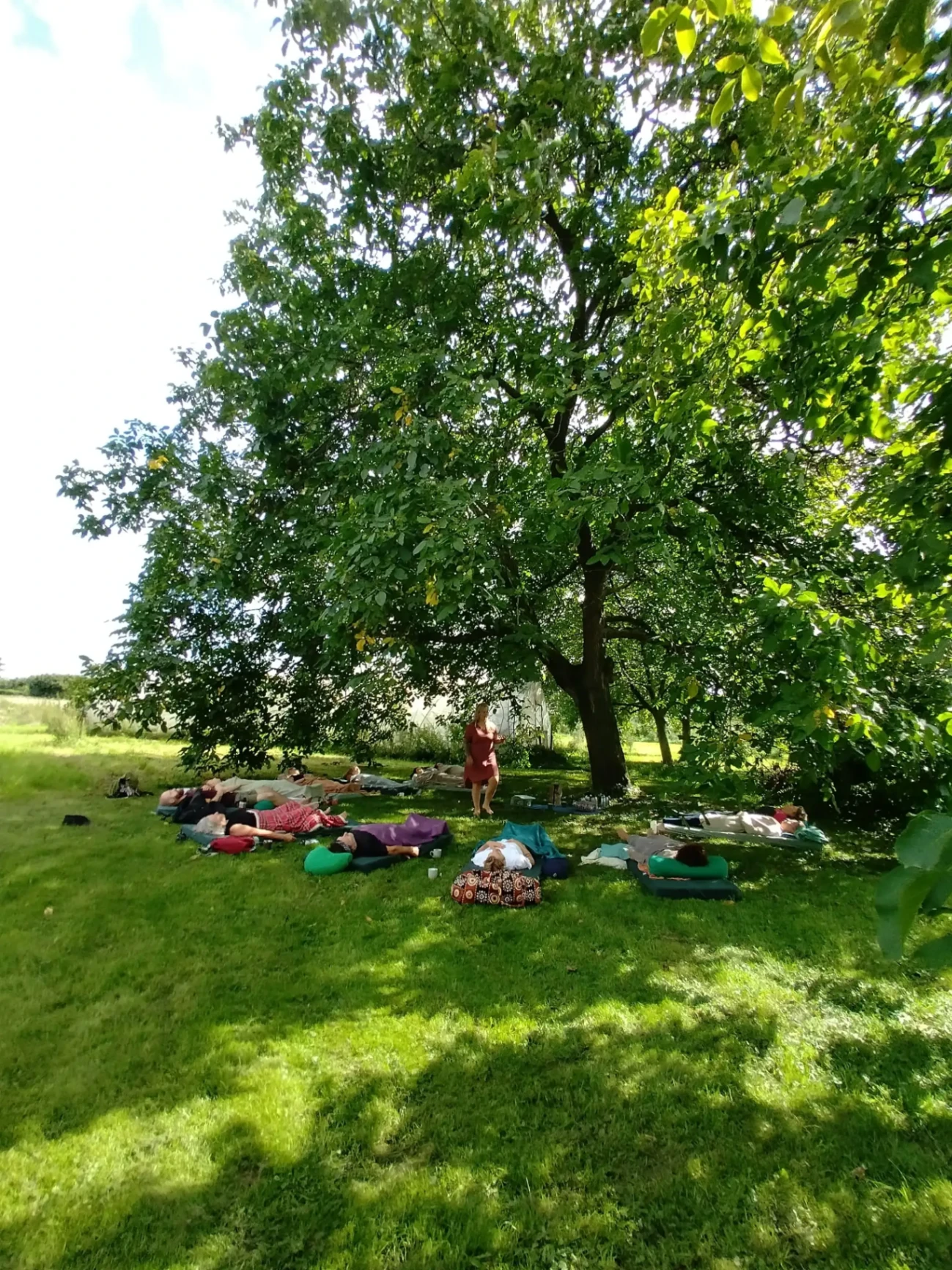 Groep beoefent yoga onder een grote boom in het gras