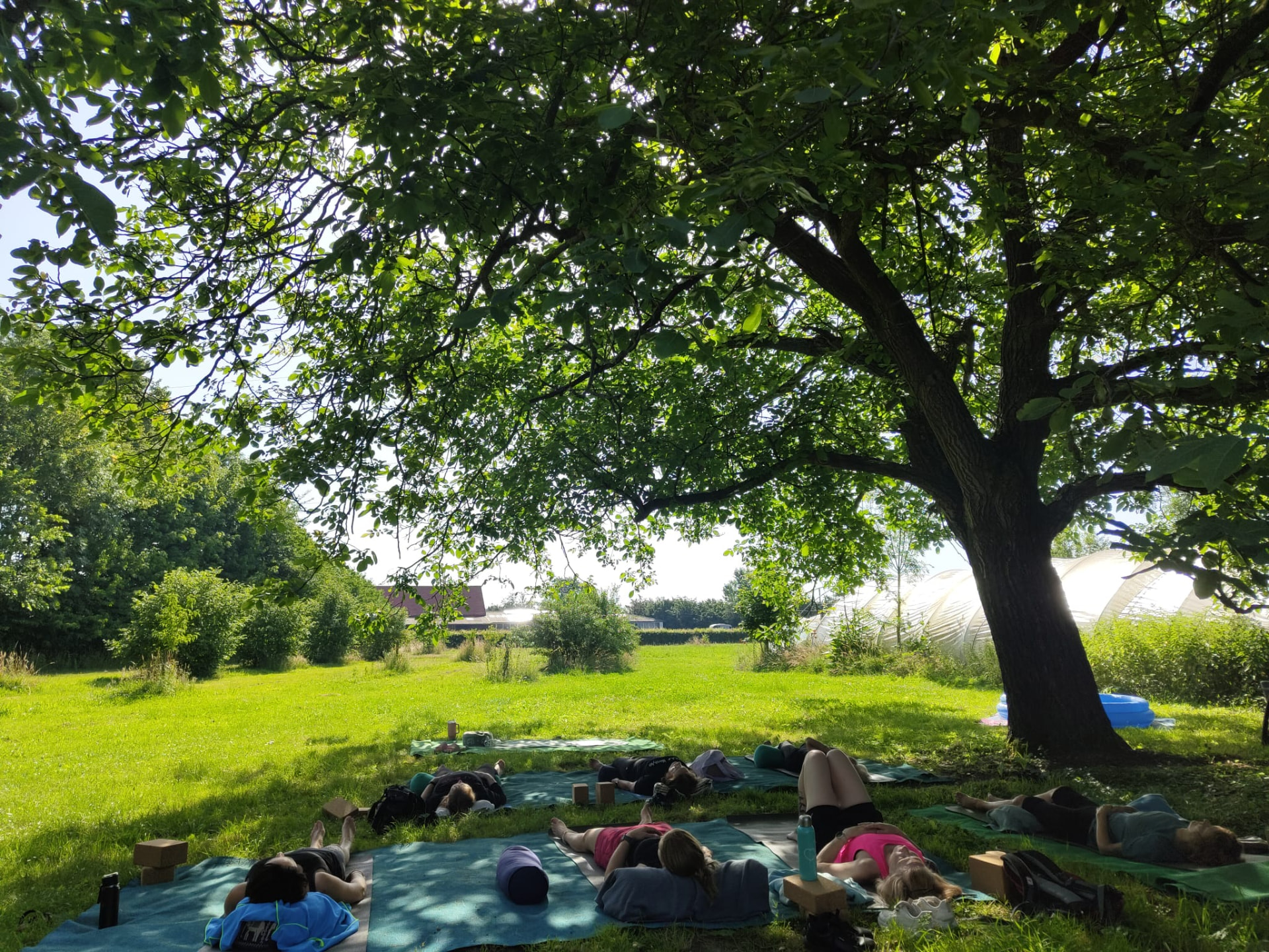 Groep ligt in savasana in het gras onder een grote boom