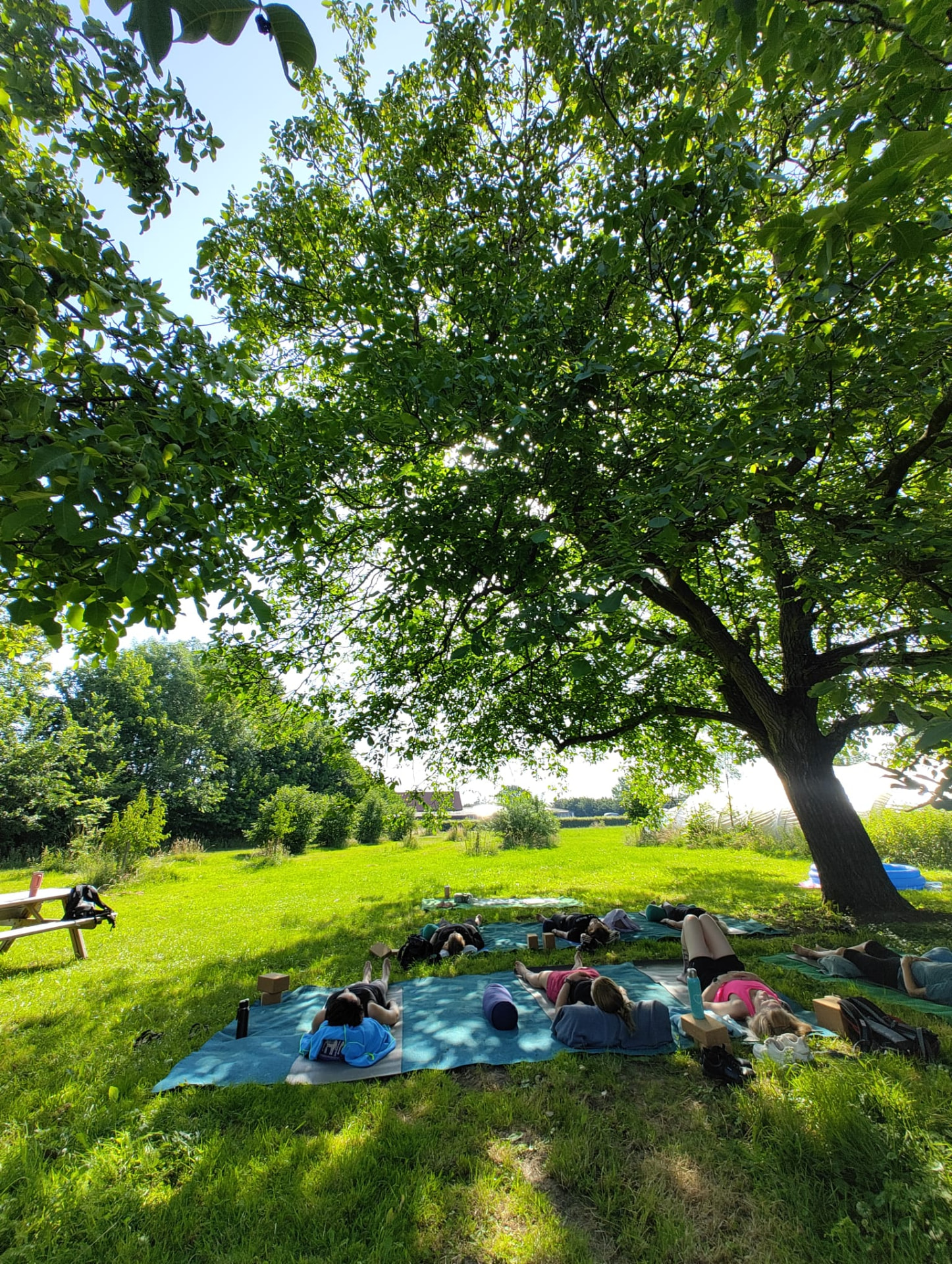 Groep ligt in savasana op matten onder een grote boom in het gras